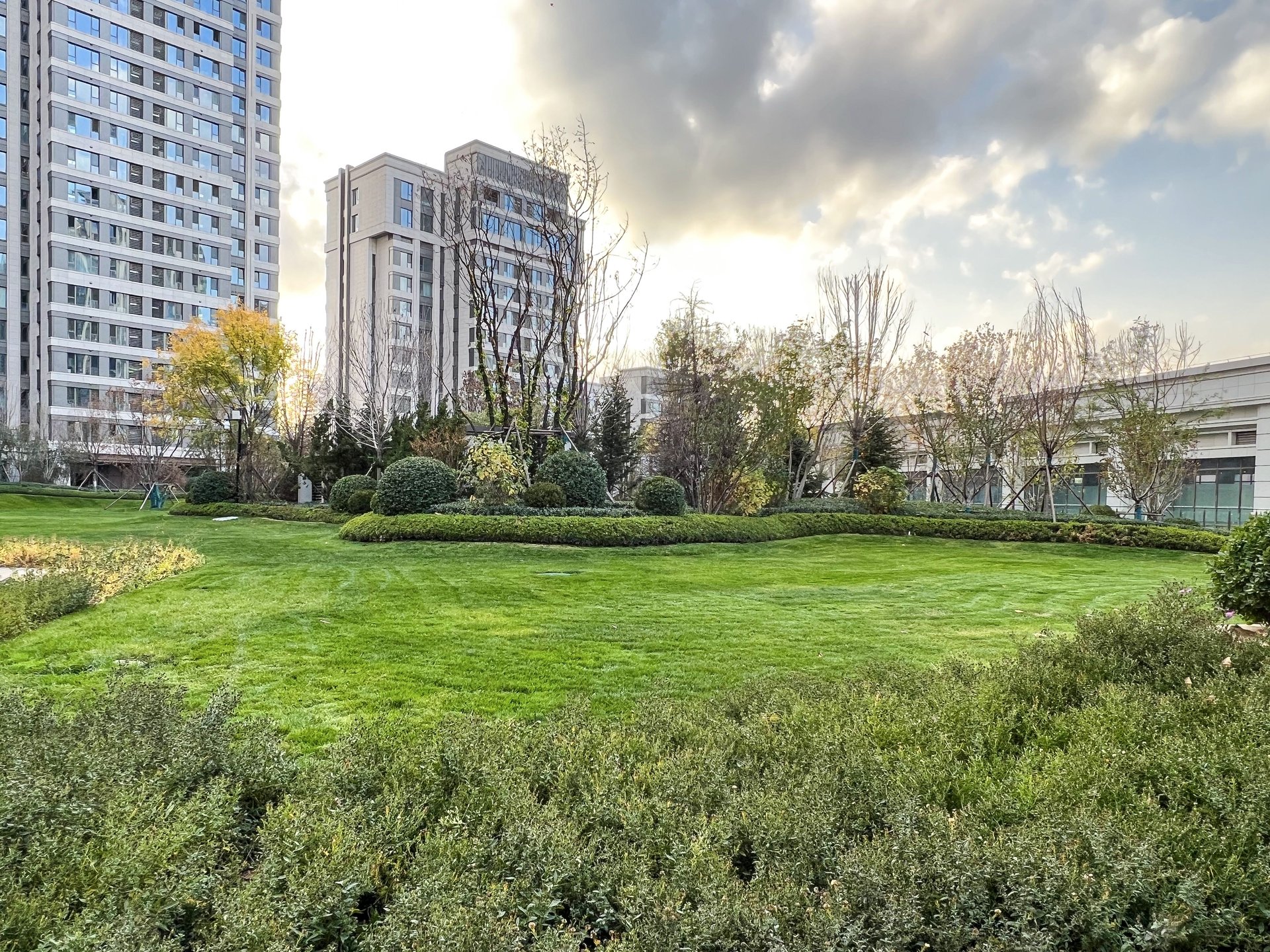 珠江阙 environment