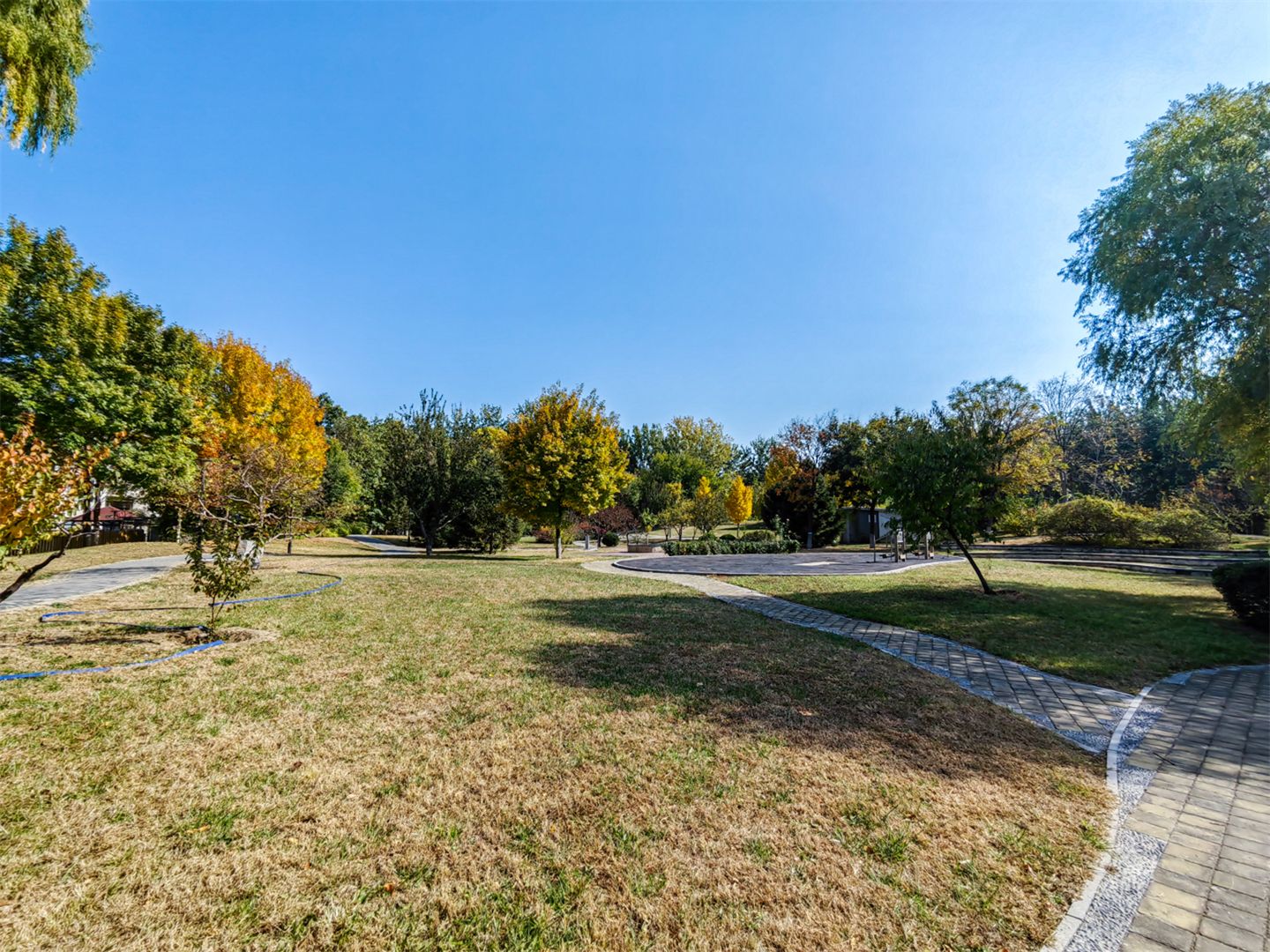 卓锦万代 environment