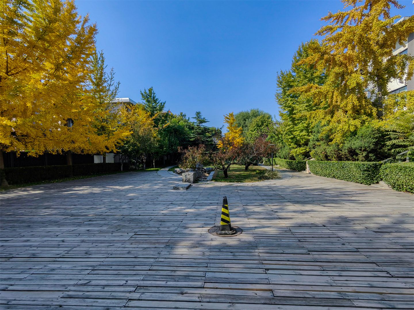 卓锦万代 environment