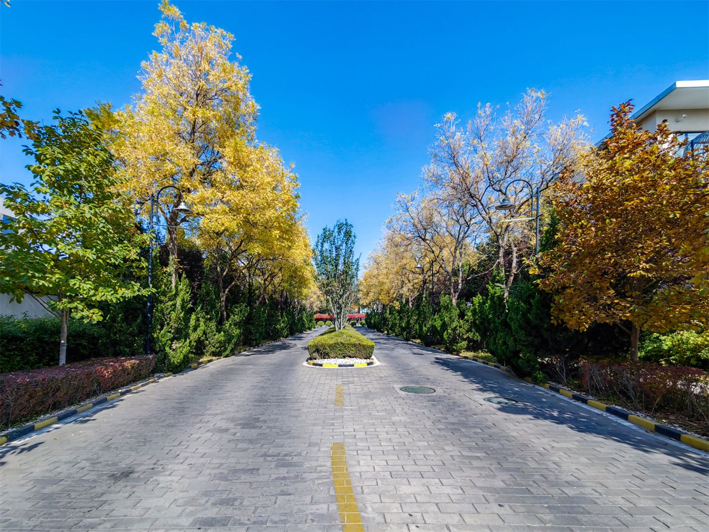 卓锦万代 environment