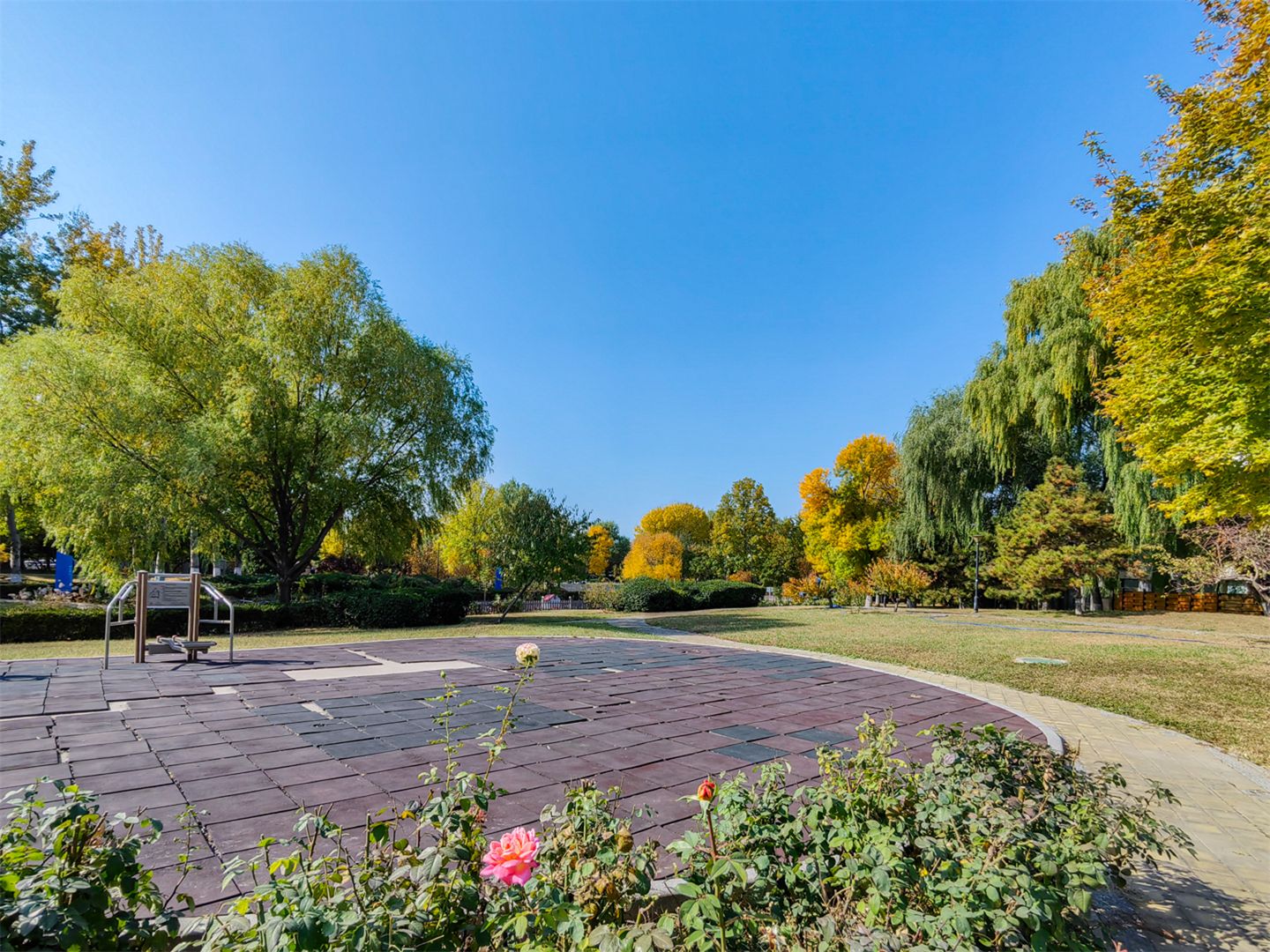 卓锦万代 environment