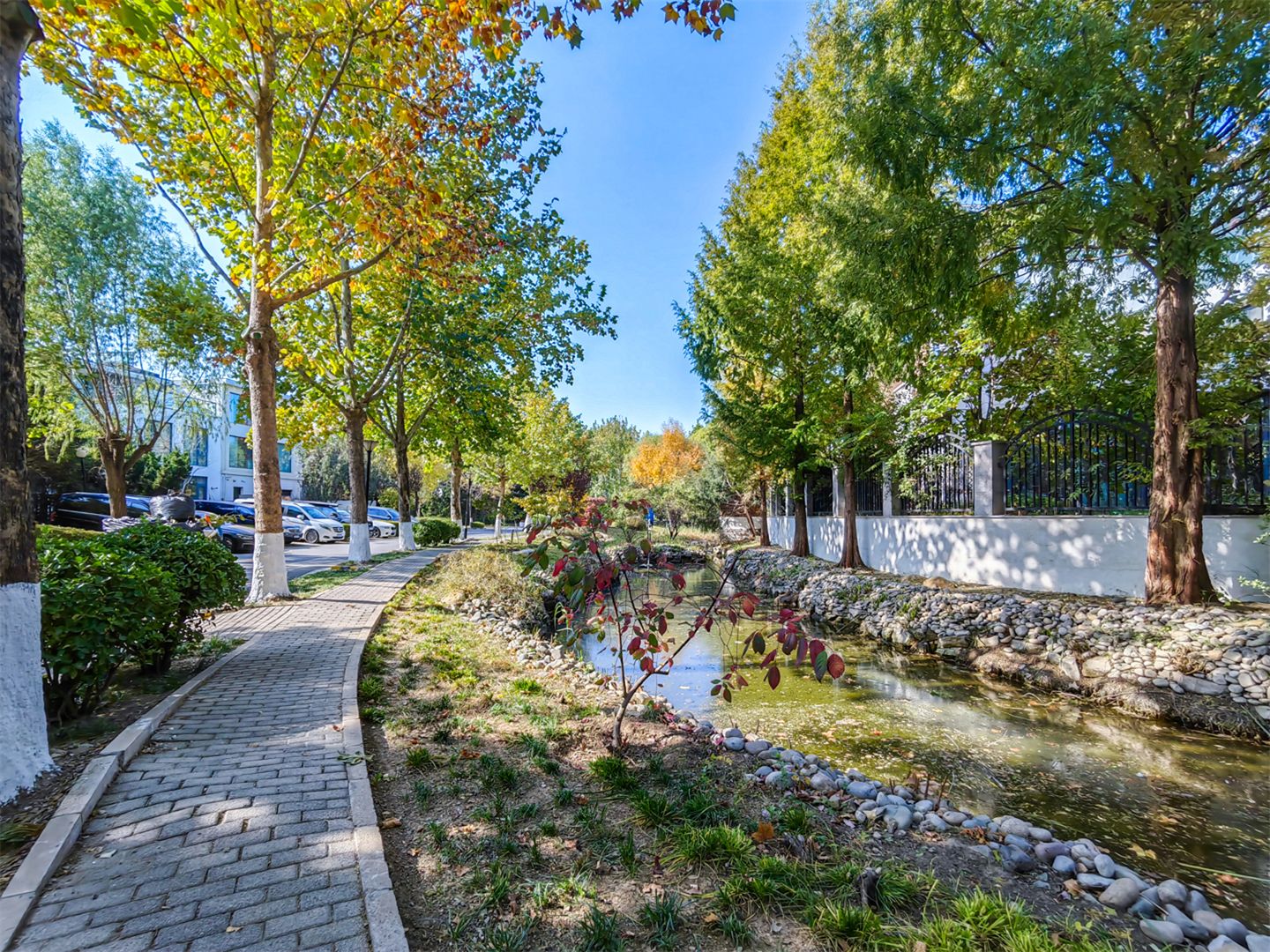 卓锦万代 environment