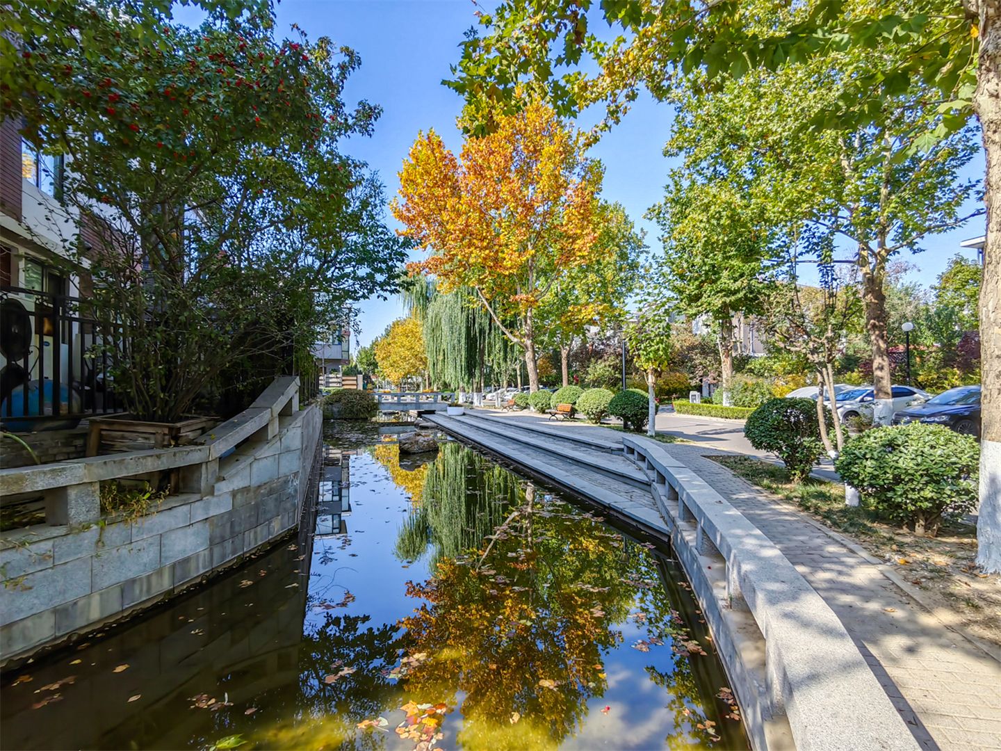 卓锦万代 environment