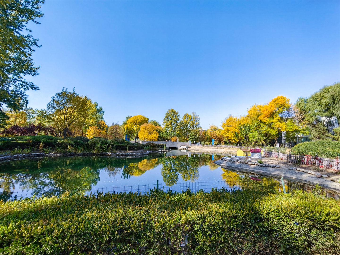 卓锦万代 environment