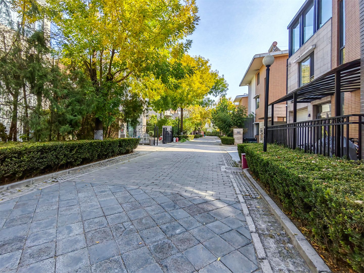 卓锦万代 environment