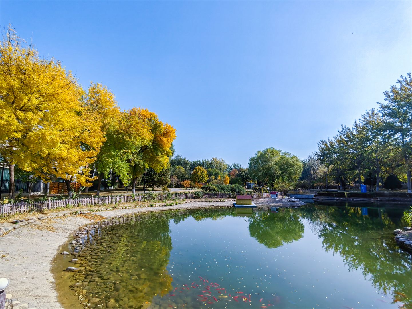 卓锦万代 environment