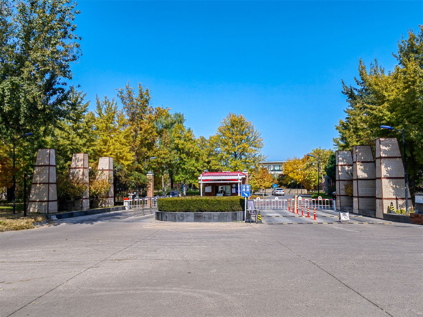 卓锦万代 environment