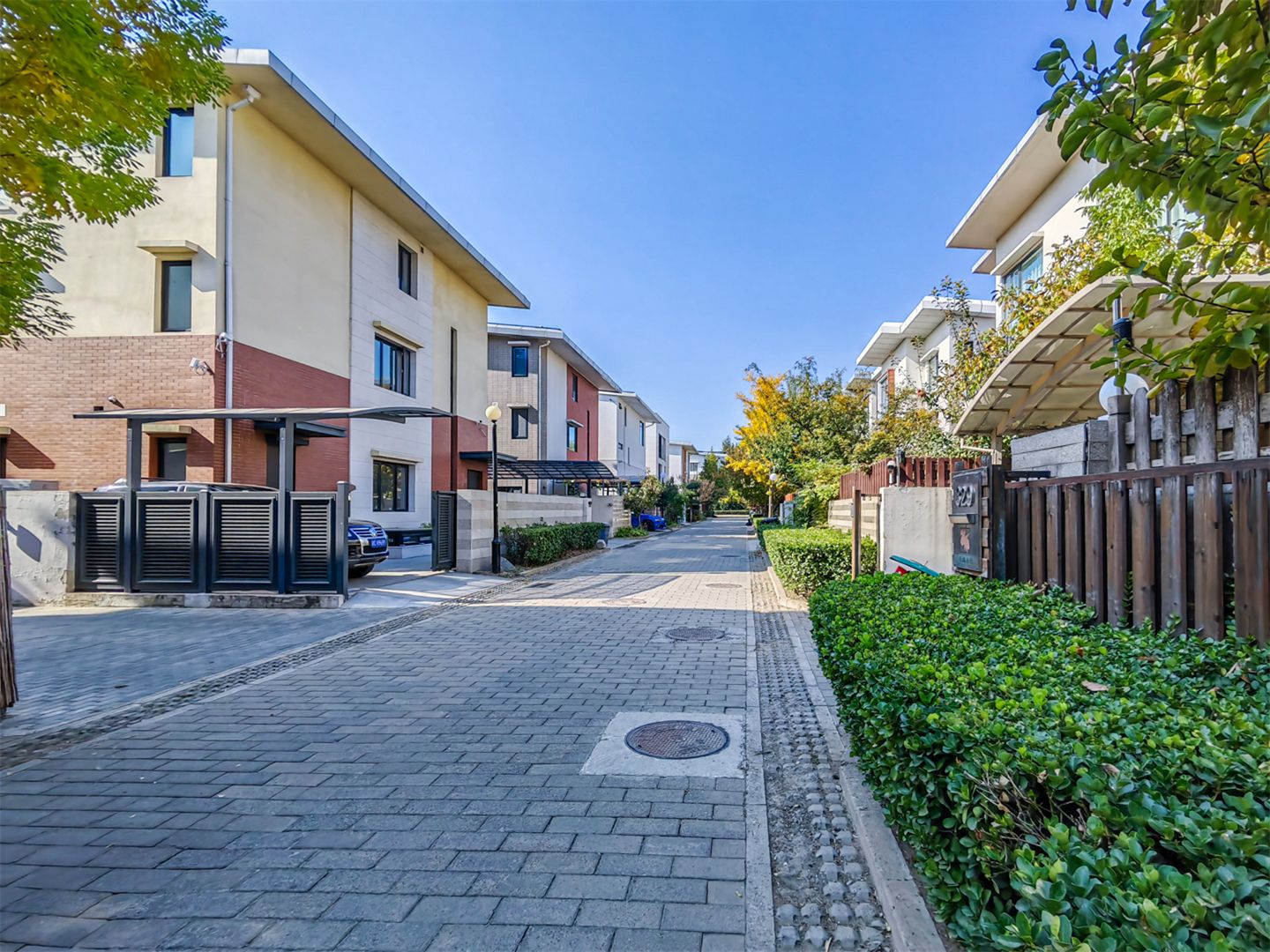 卓锦万代 environment