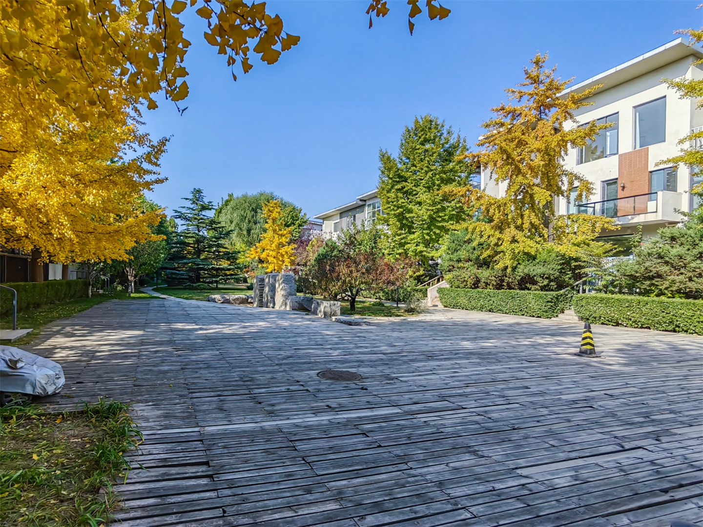 卓锦万代 environment