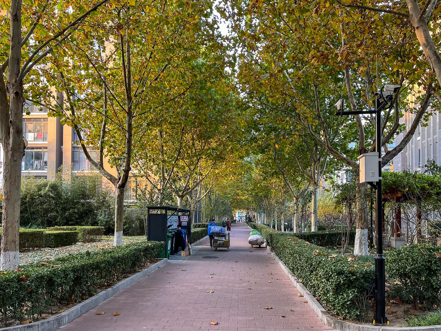 朱雀门 environment