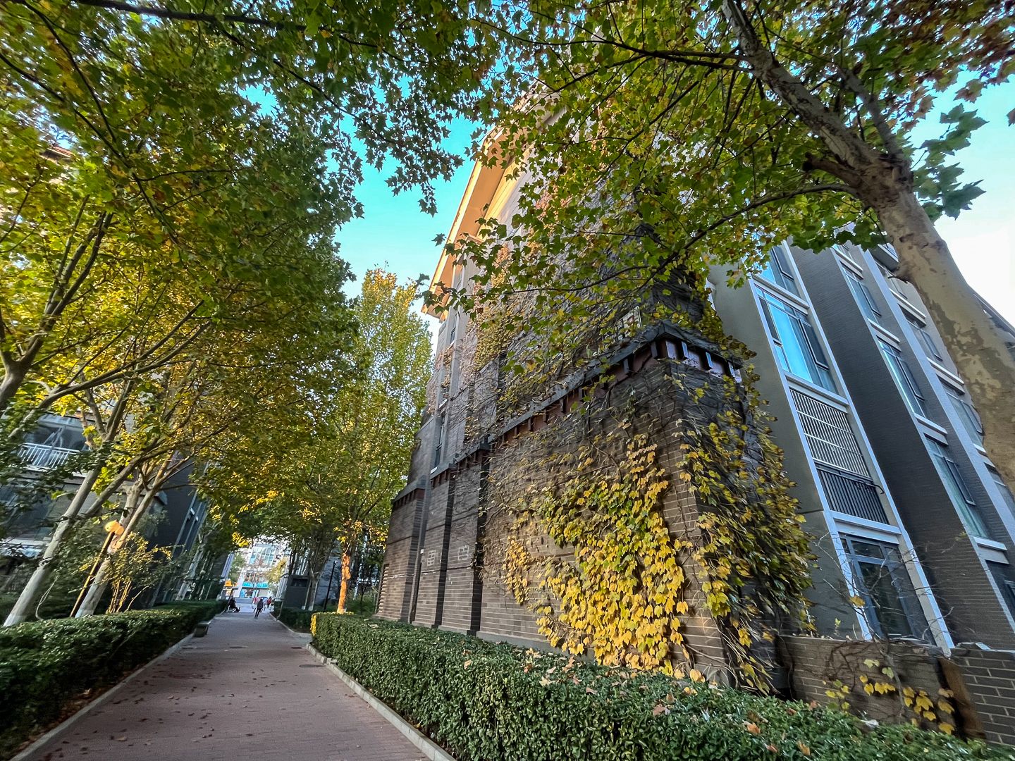 朱雀门 environment