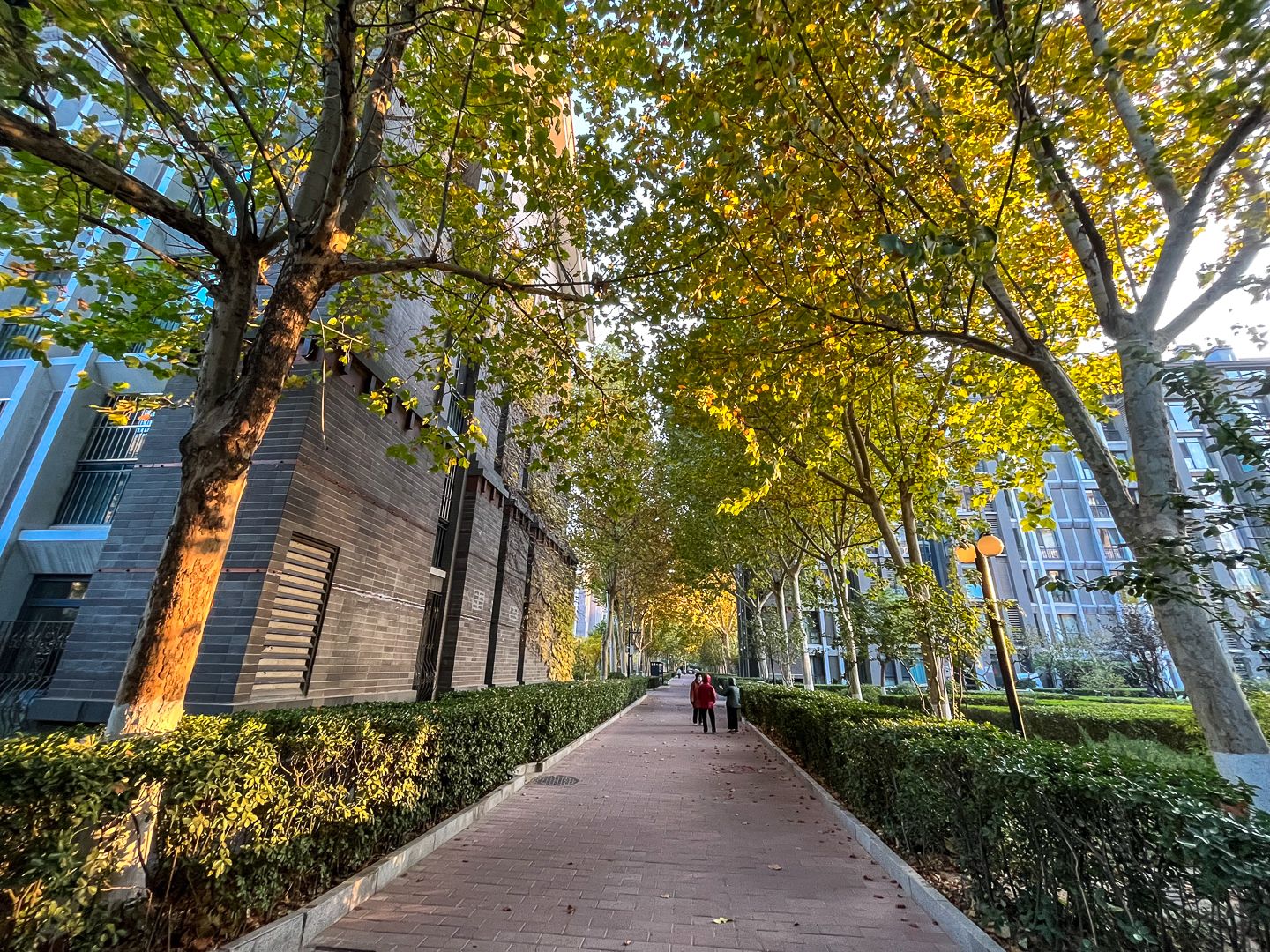 朱雀门 environment