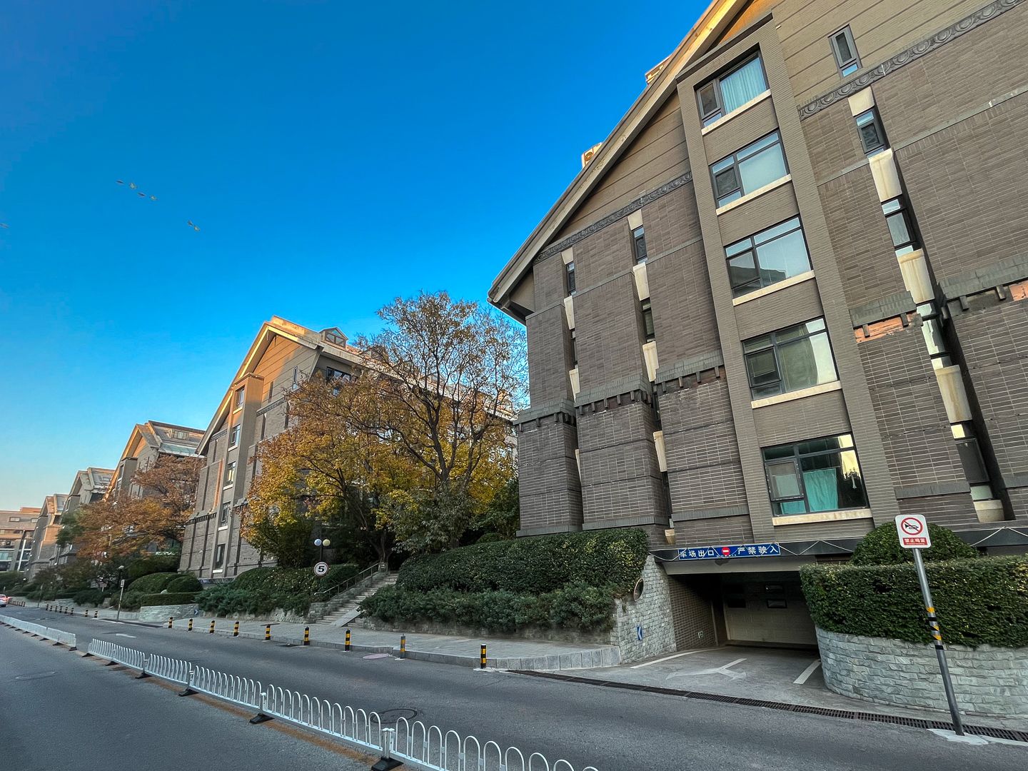 朱雀门 environment