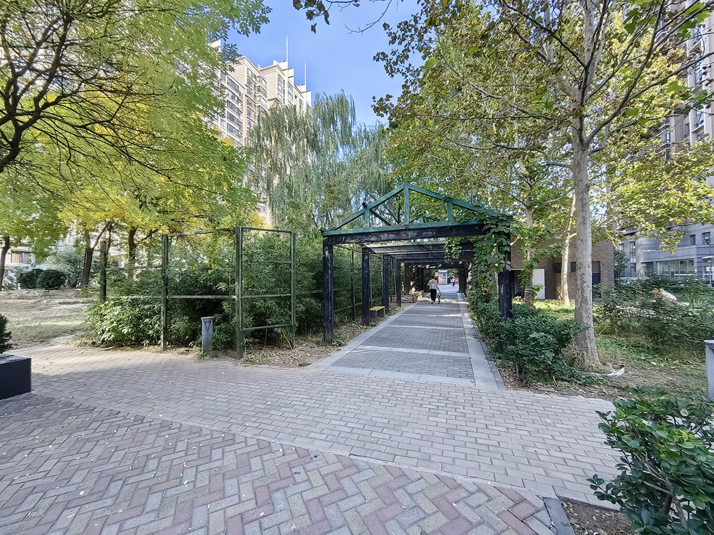 紫芳园三区 environment