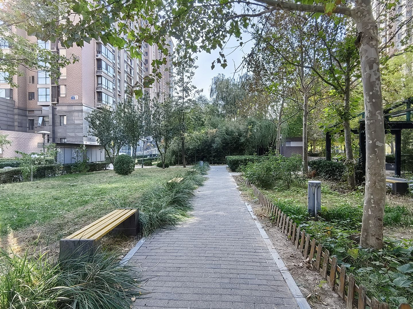 紫芳园三区 environment