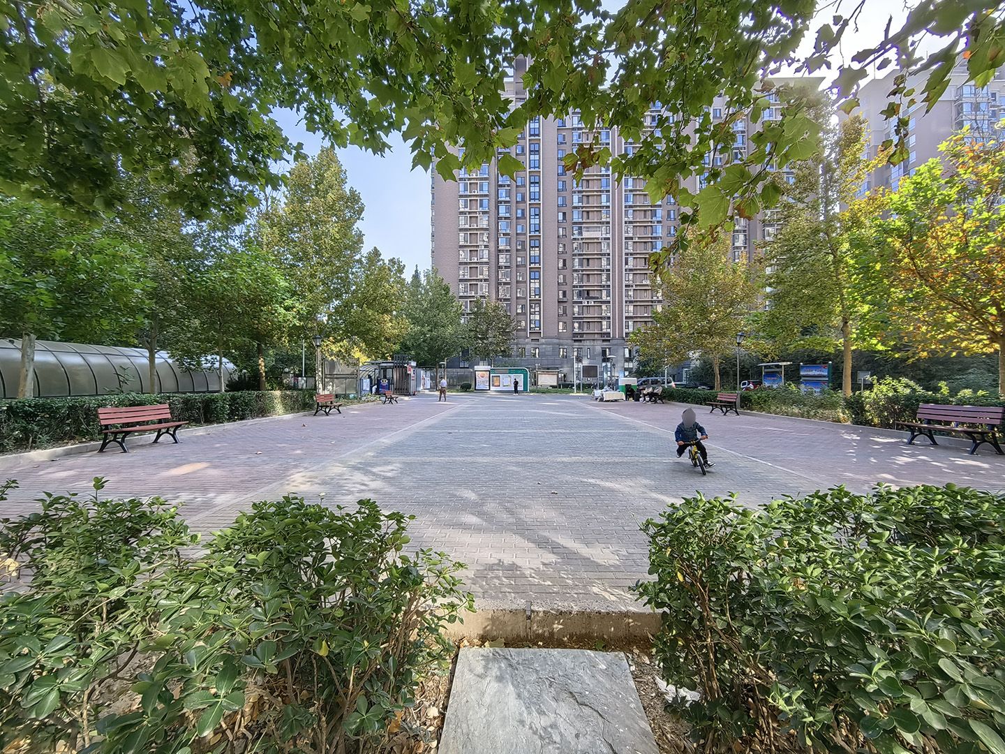 紫芳园三区 environment