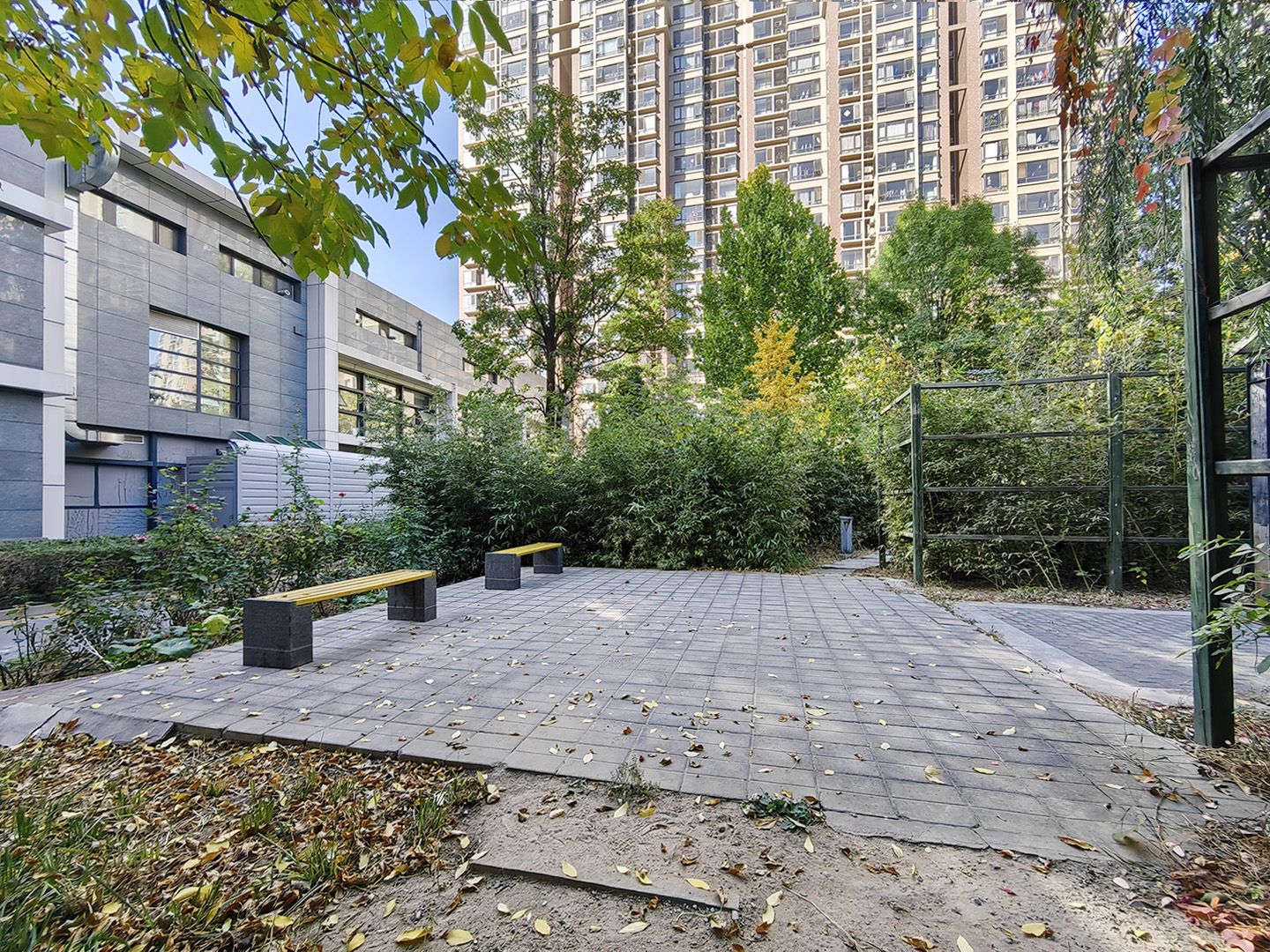 紫芳园三区 environment