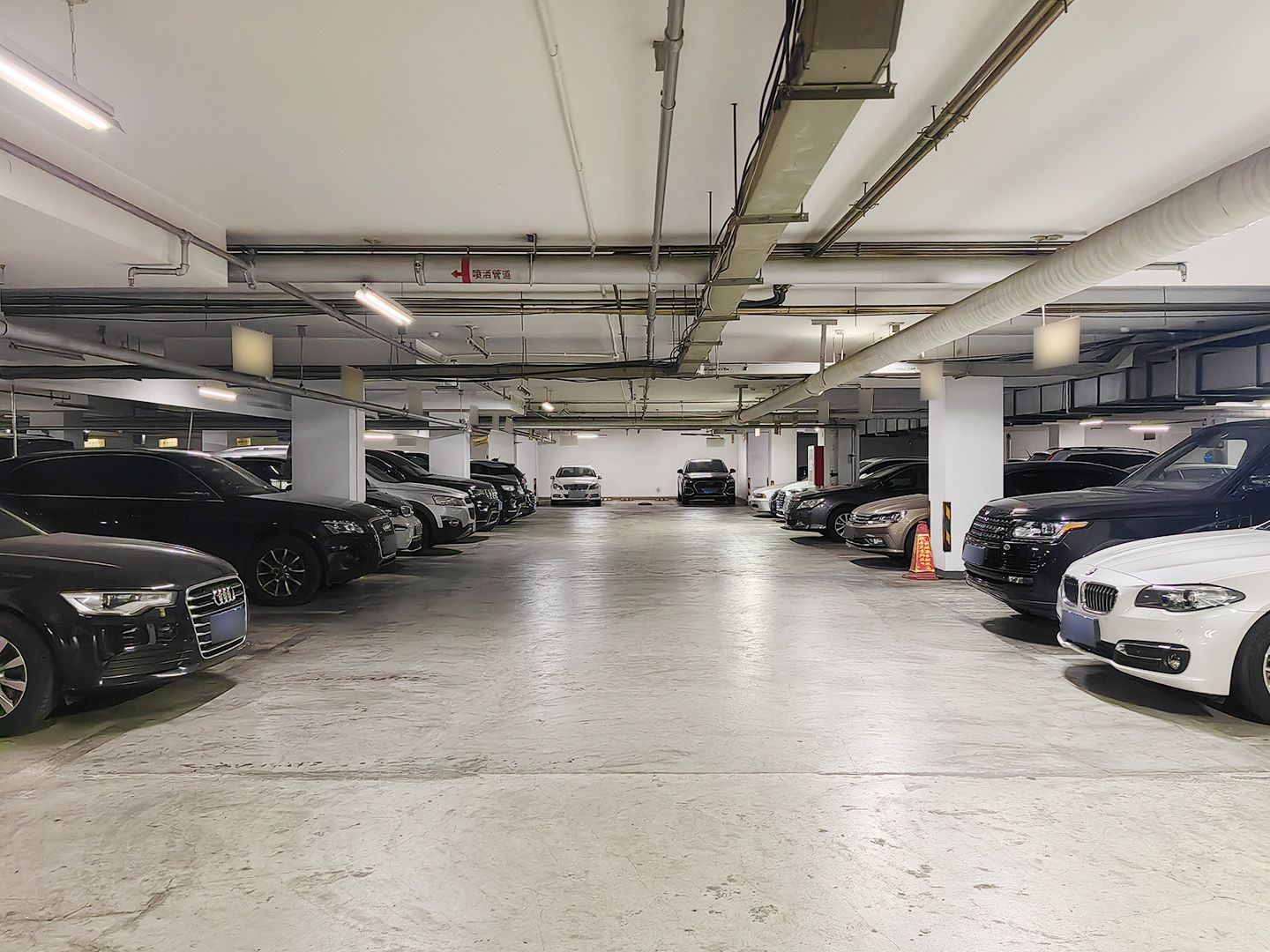 紫芳园三区 environment