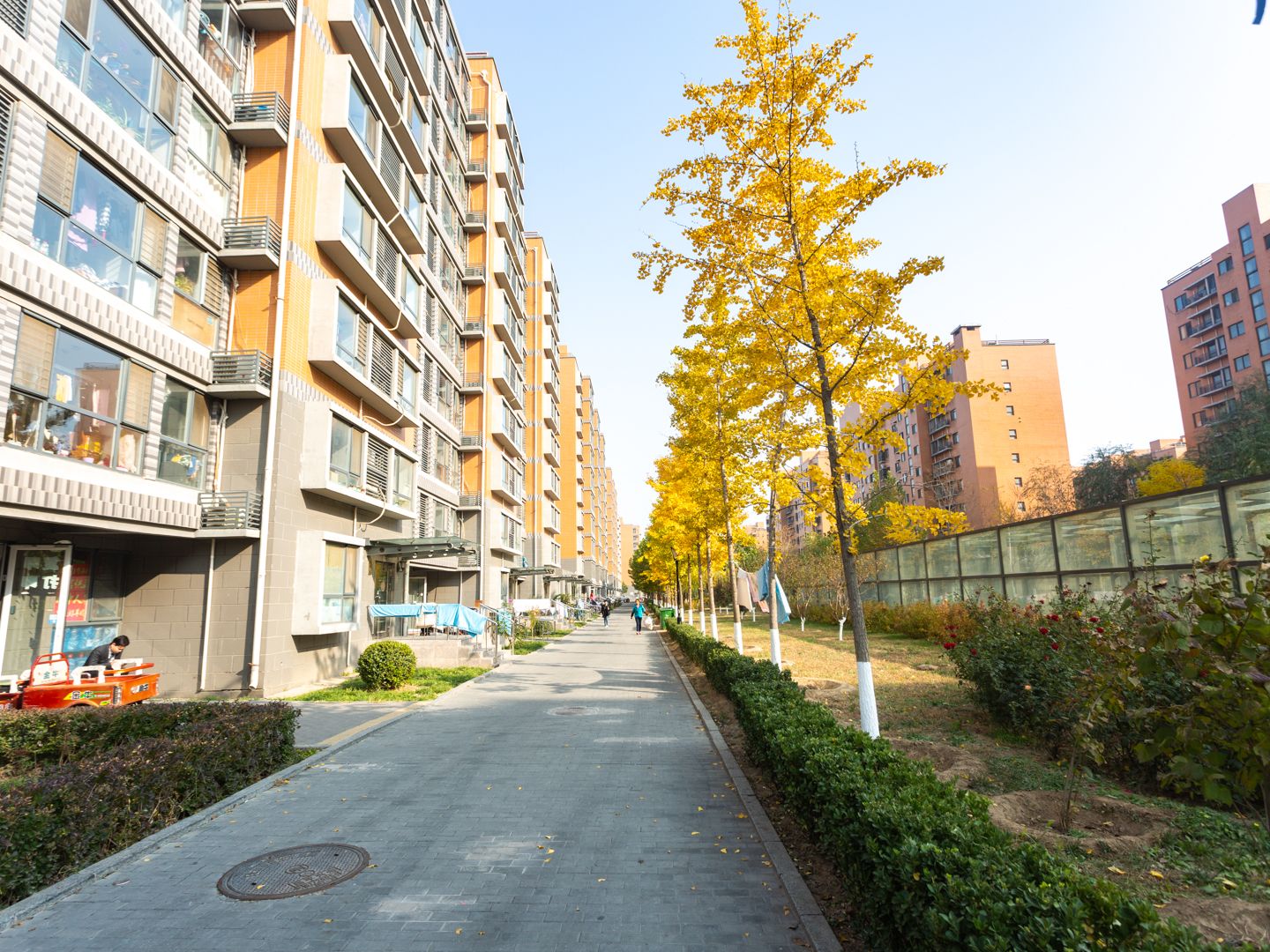 紫金新干线二期 environment