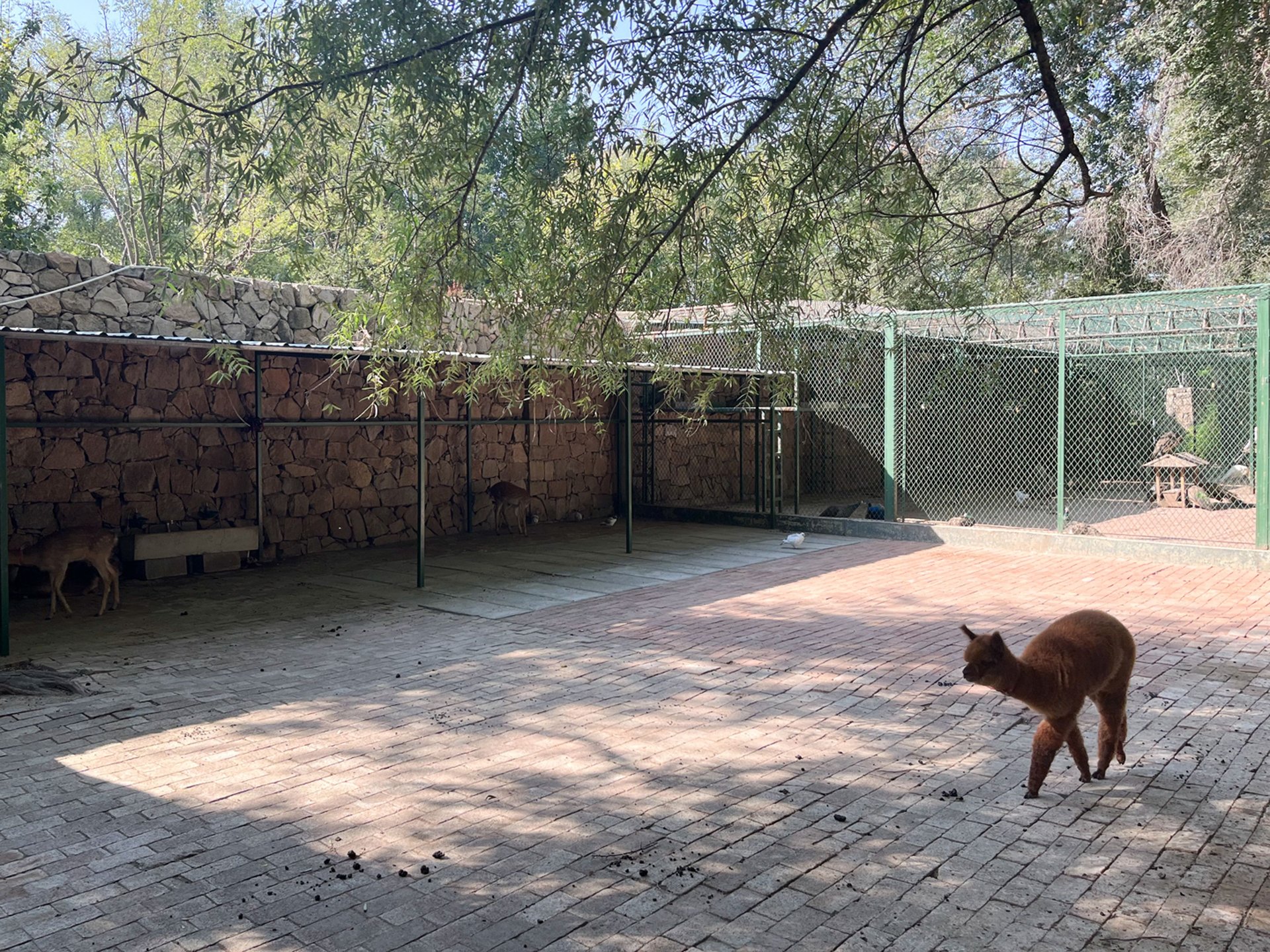 紫玉山庄 environment