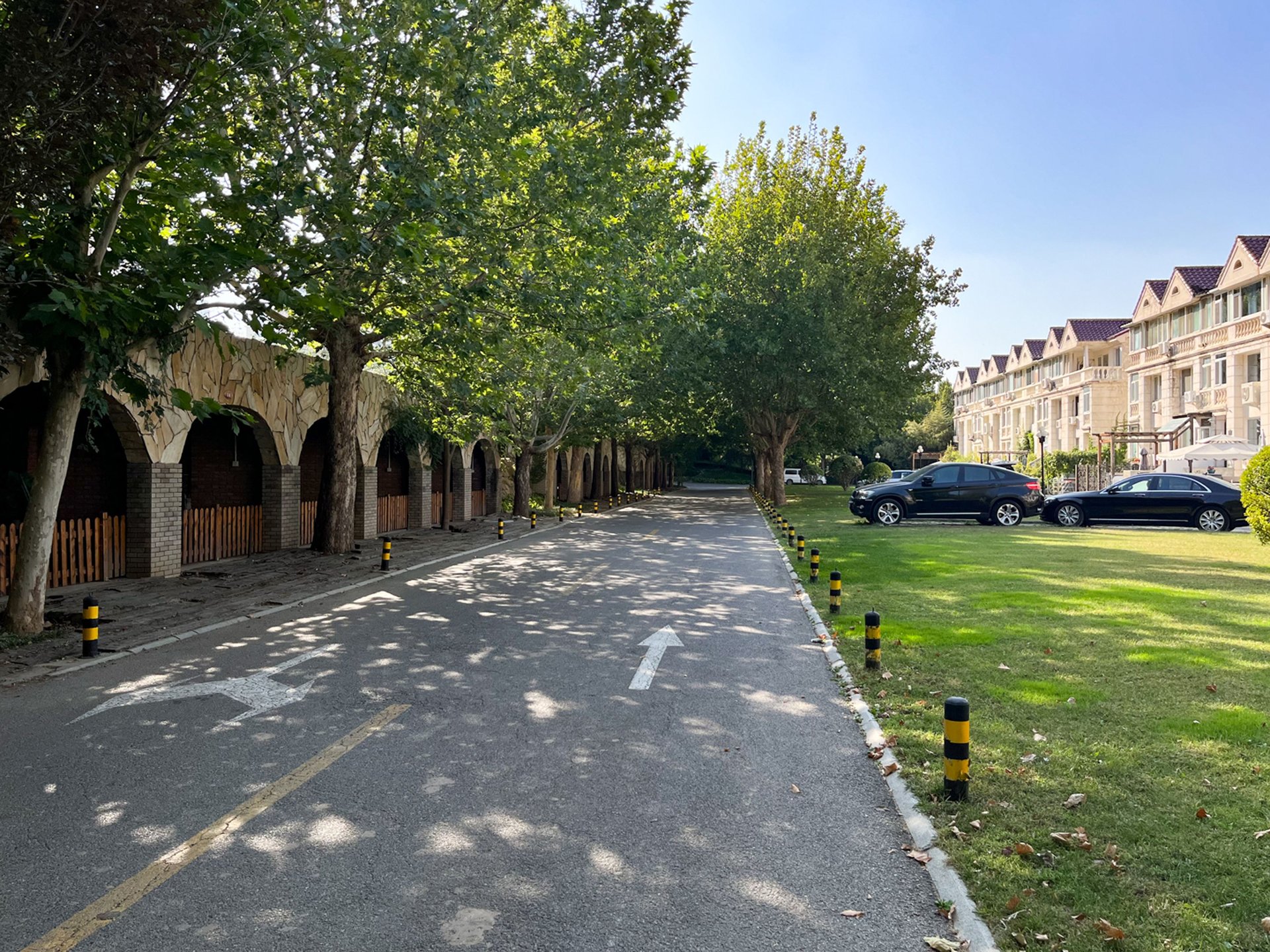 紫玉山庄 environment