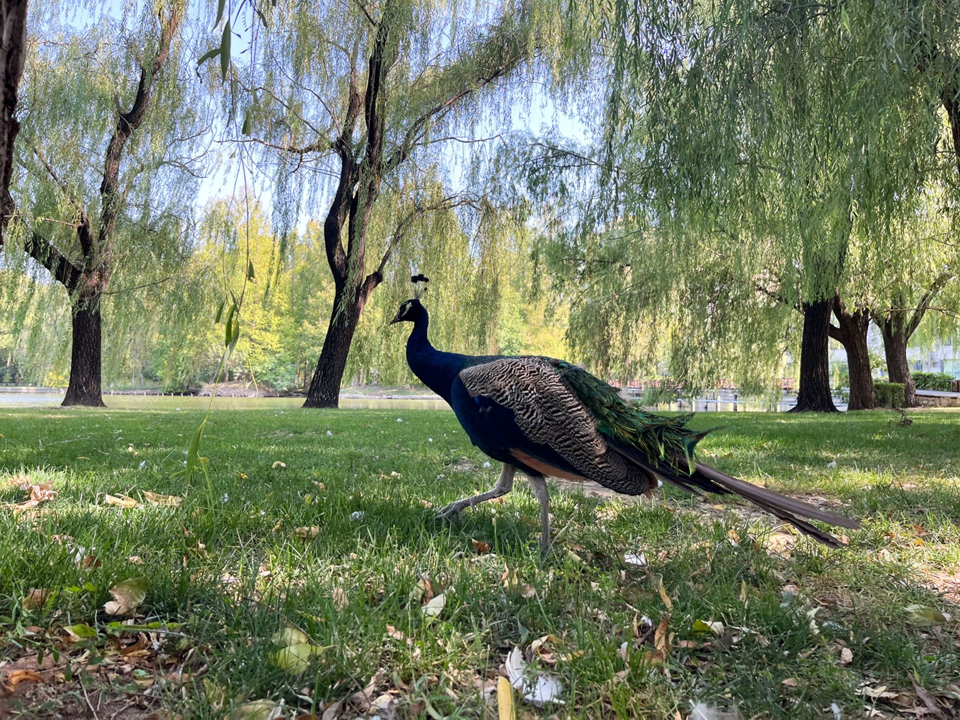 紫玉山庄 environment