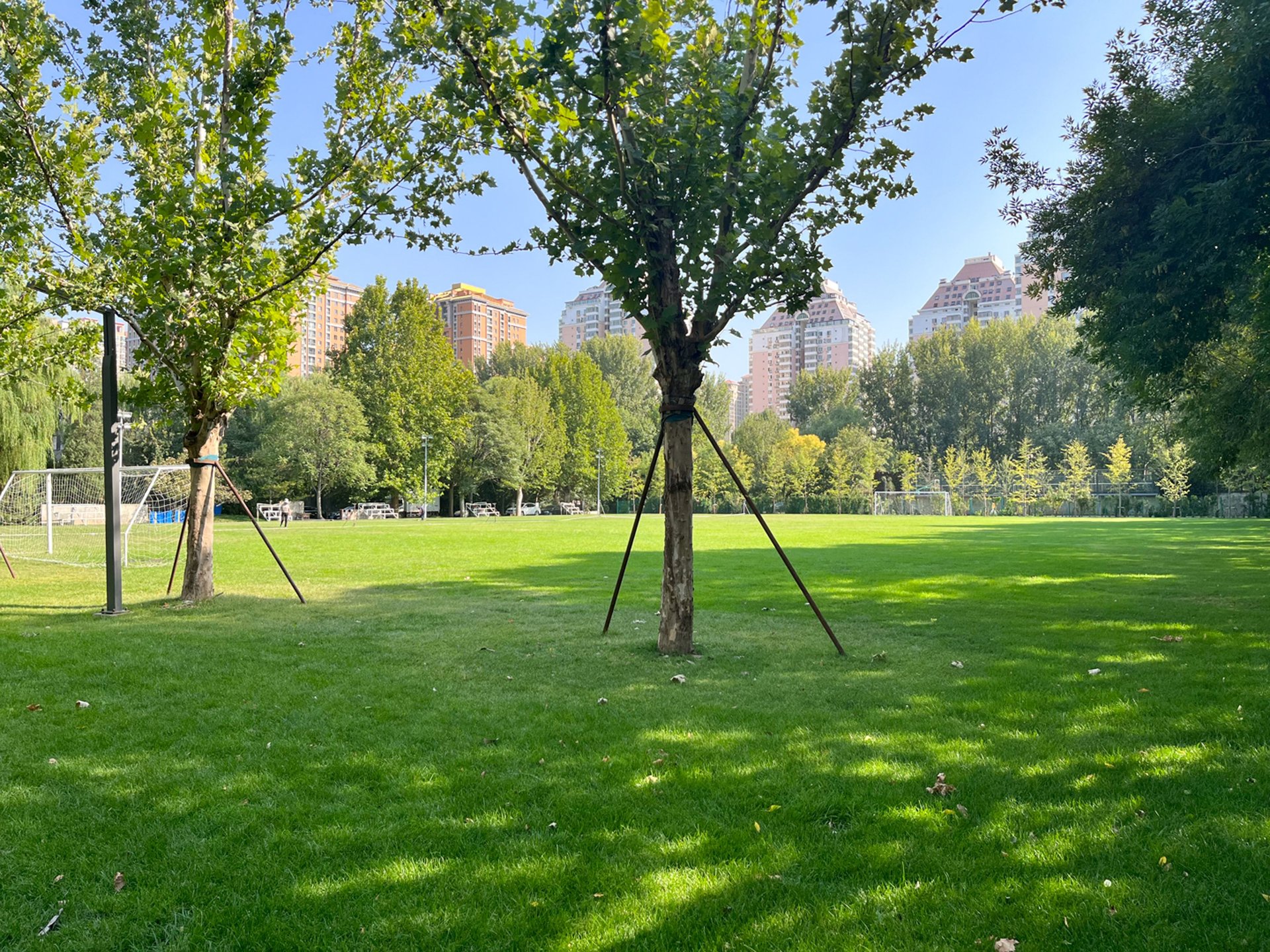 紫玉山庄 environment