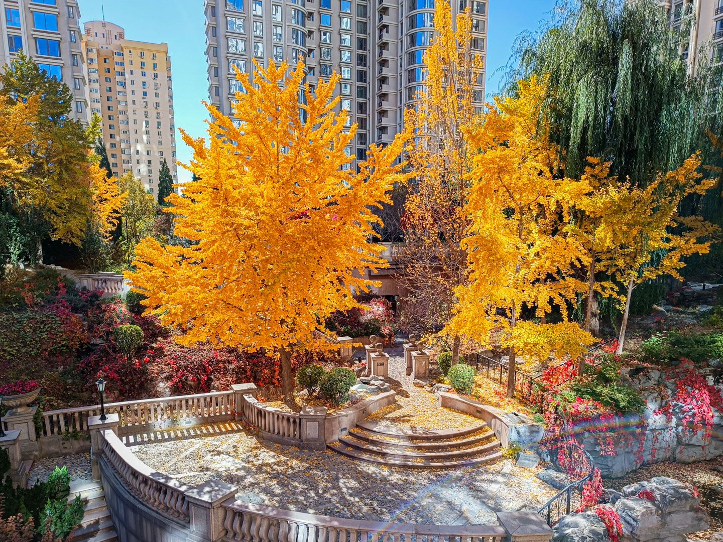 棕榈泉国际公寓 environment