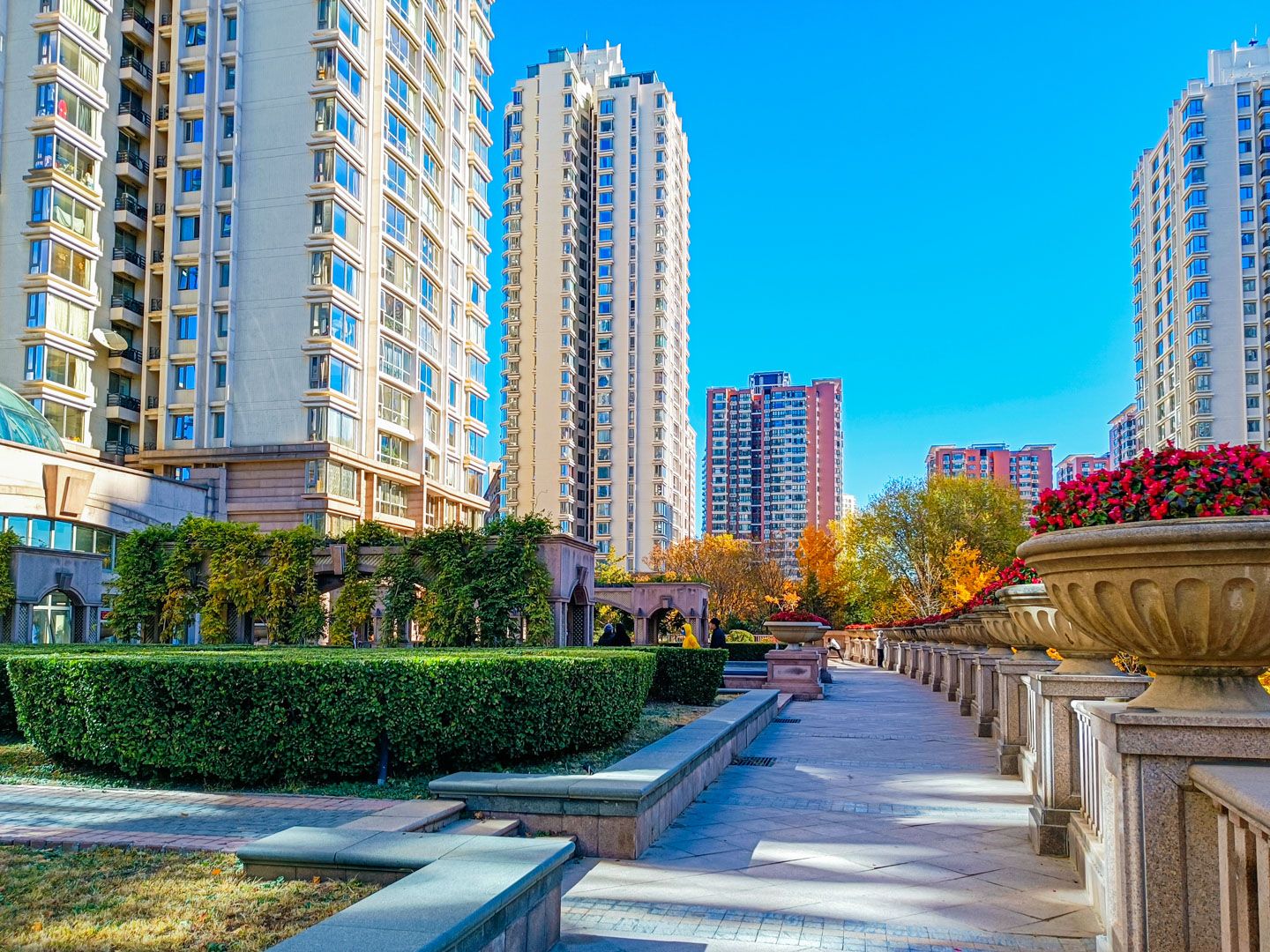 棕榈泉国际公寓 environment