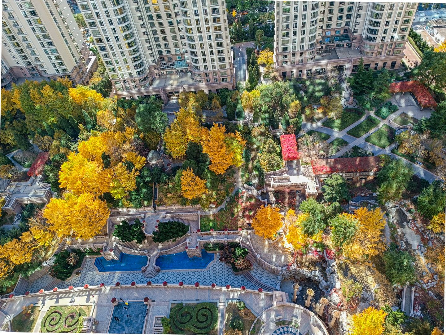 棕榈泉国际公寓 environment