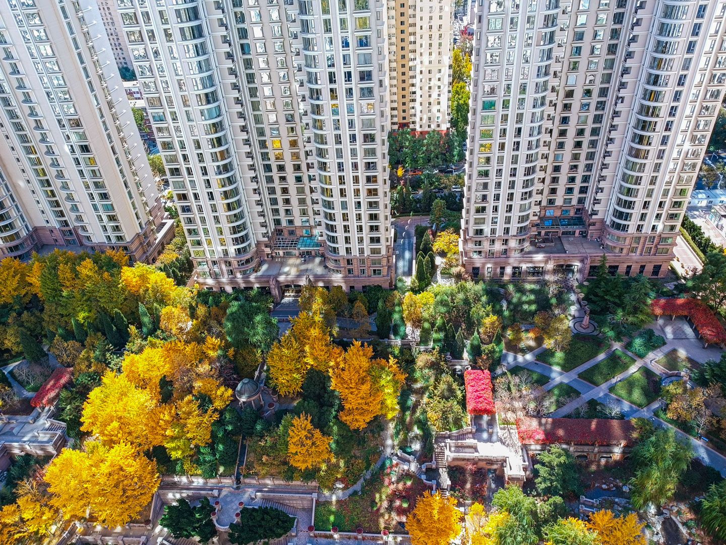 棕榈泉国际公寓 environment