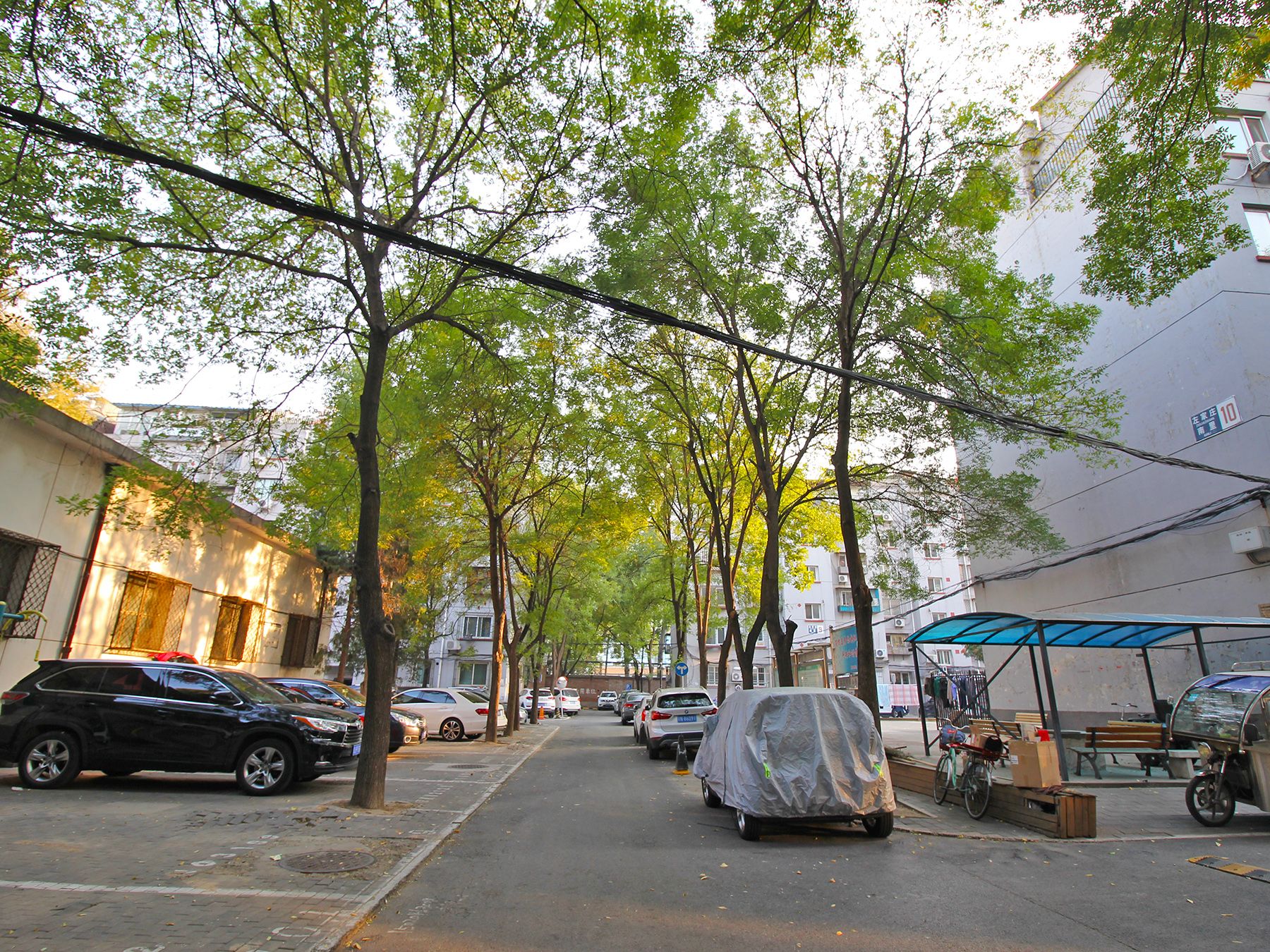 左家庄南里 environment