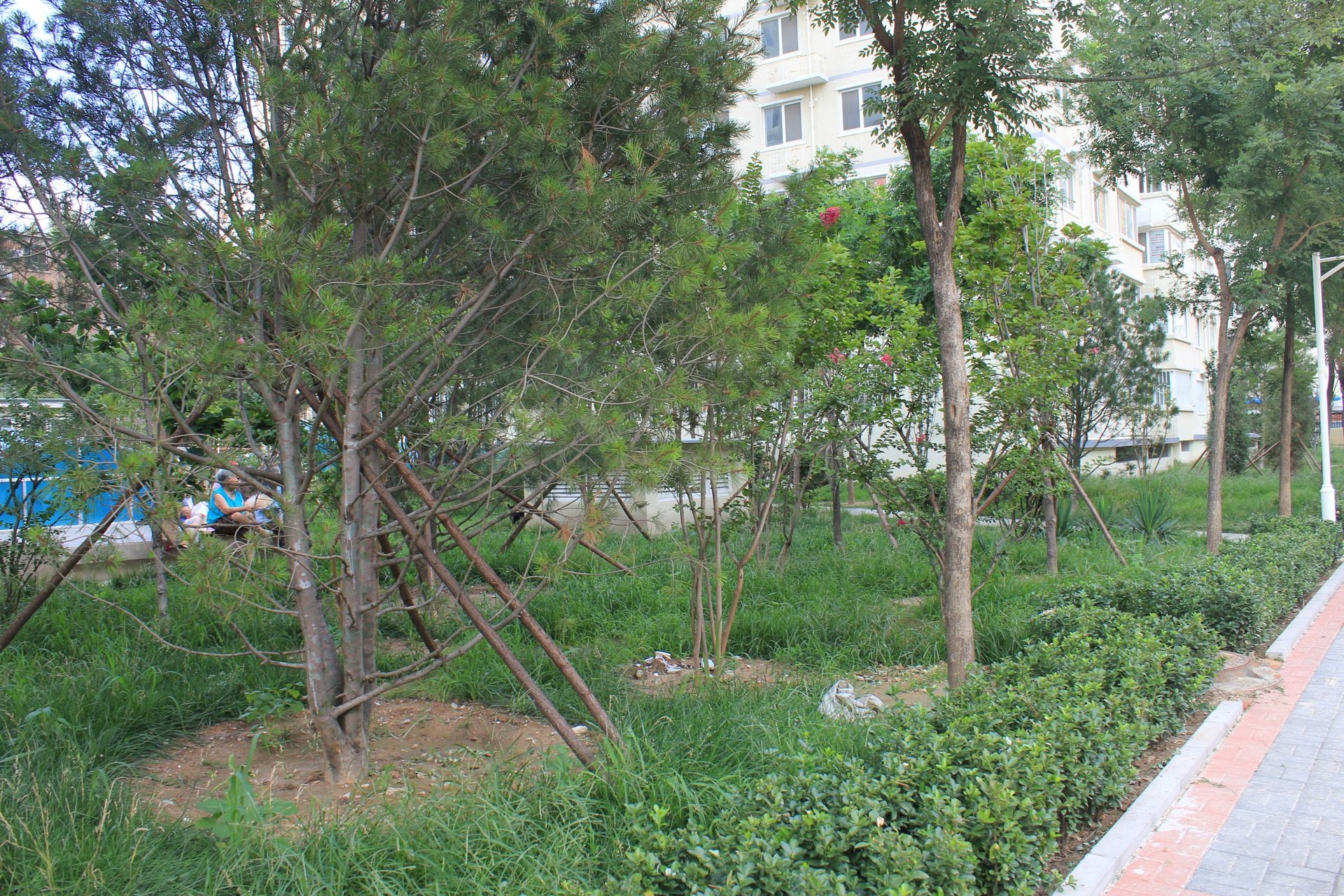 左家庄西街1号院 environment