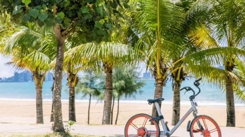 Apartment for rent in Sanya - Blue Coast - Photo 15