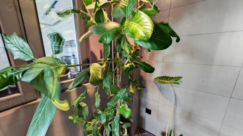 Apartment for rent in Shenzhen - China Resources Shenzhen Bay Yuefu Phase II - Photo 4