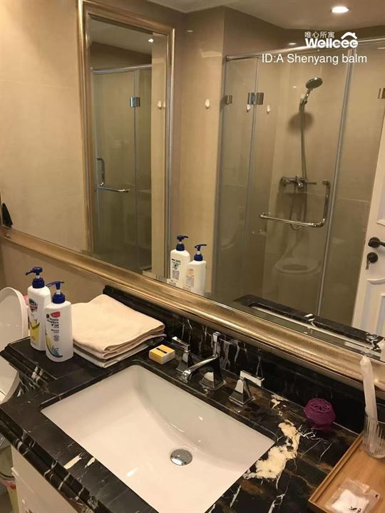 High-End 2-Bedroom Apartment for Rent in Shenyang