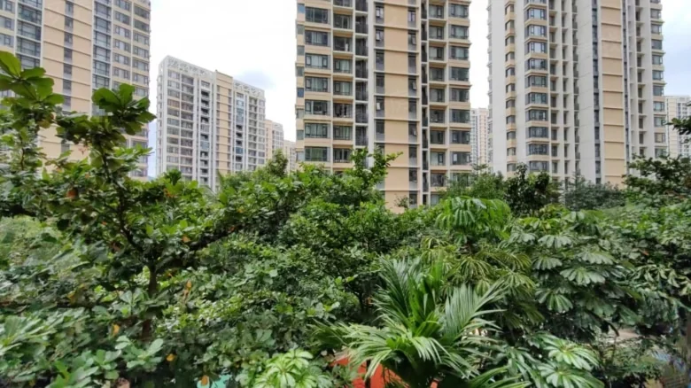 Palm Beach - View 12