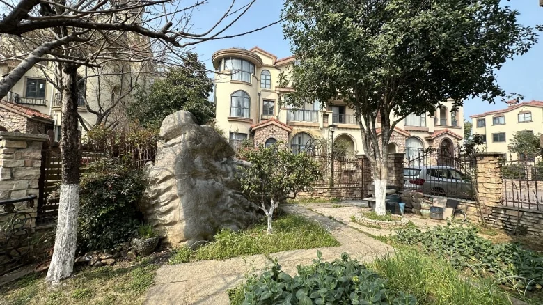 Peninsula Mansion - View 23