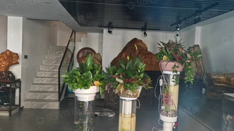 Related Property Image