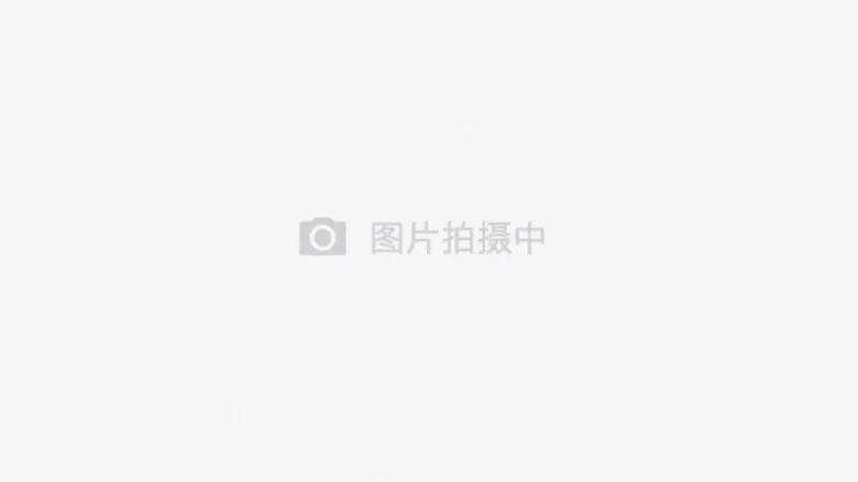 Dongyue Mansion Phase I - View 4