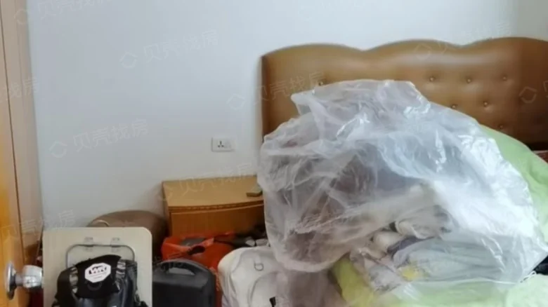 Golden Maple Garden - View 1