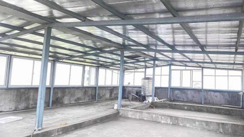 Hongmei 686号 - View 1