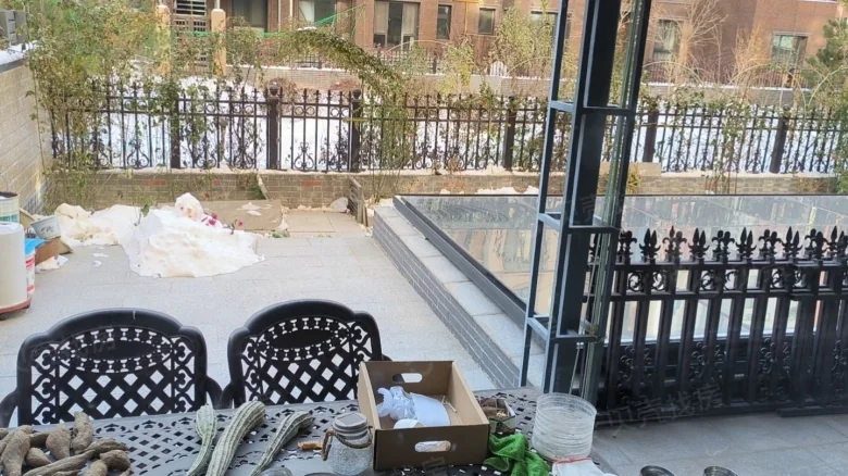 Buckingham Palace - View 3