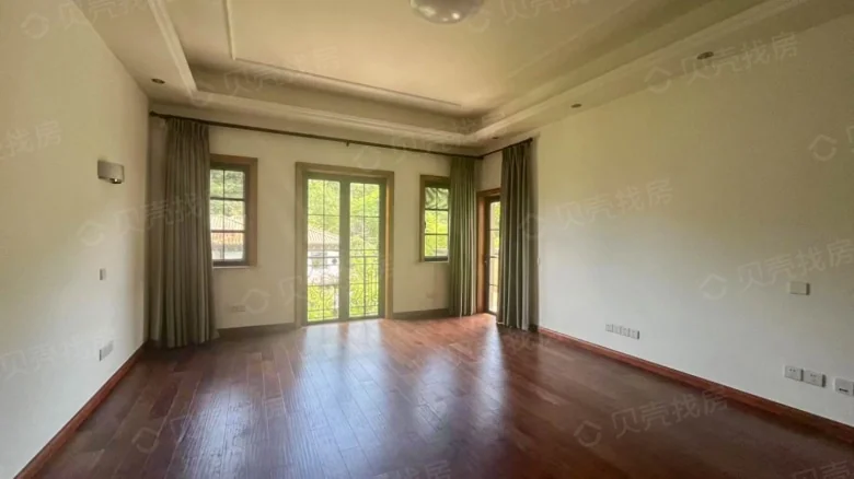 Dream Stream Lake Manor - View 7