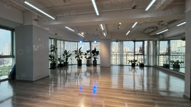 Chongqing Palmspring International Center - View 1