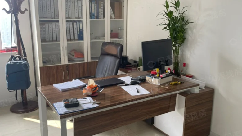 Xinjin International - View 3