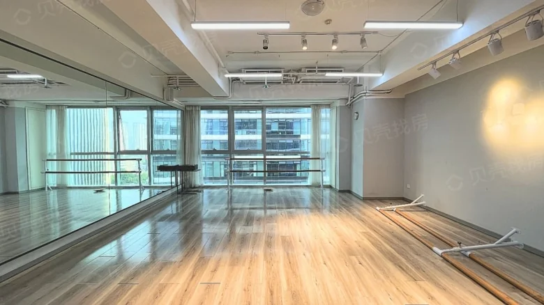 Chongqing Palmspring International Center - View 3