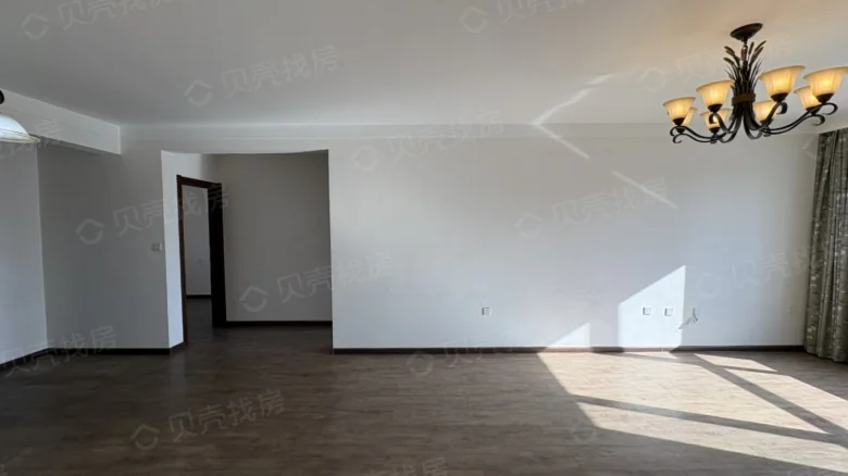 Sunny Golden Chrysanthemum - View 1