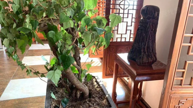 Aocen Wealth Plaza - View 3