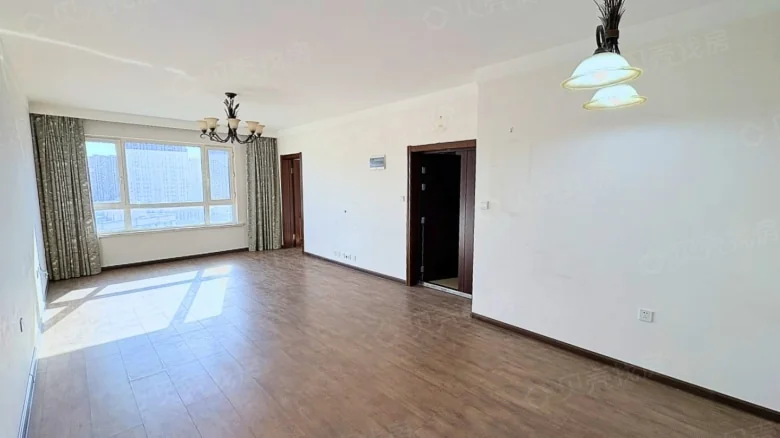 Sunny Golden Chrysanthemum - View 2